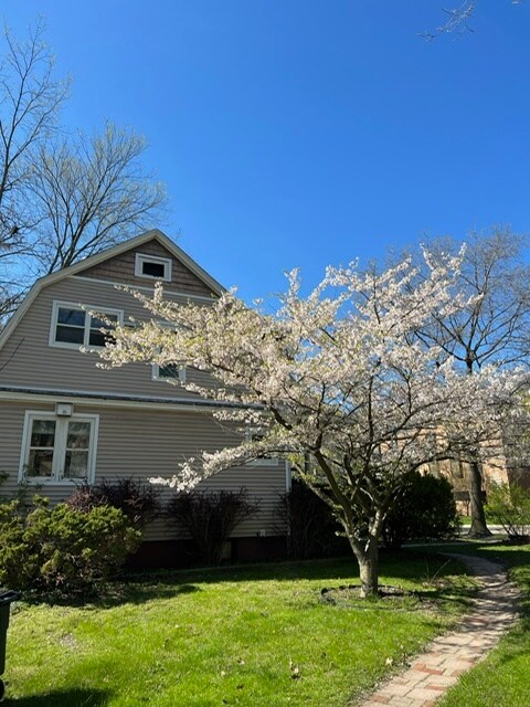 1316 Packard St Unit 2, Ann Arbor, MI 48104