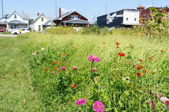 Pollinator Park is a beautiful place where select flowers are planted for bees and butterflies.