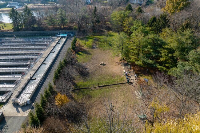 The Greenwich/Grass Island Dog Park allows residents the freedom to stretch their dog's legs.