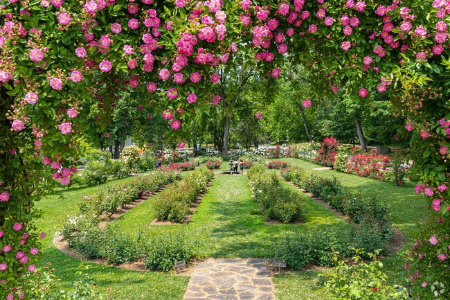 Baynard Village residents can get lost in the Brandywine Park rose garden.