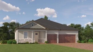 16983 Falling Waters Ct, Land O' Lakes, FL 34638