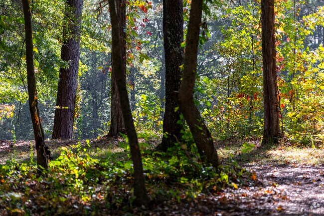 People, dogs, and horses share the scenic trails at Hays Nature Preserve.