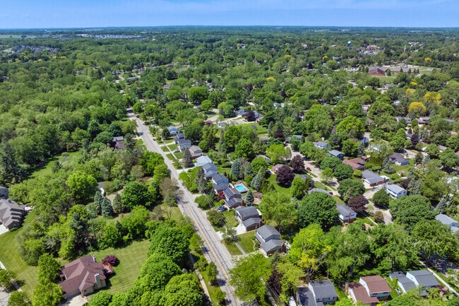 The streets of the South Side are hard to see because of the mature foliag in the neighborhood.