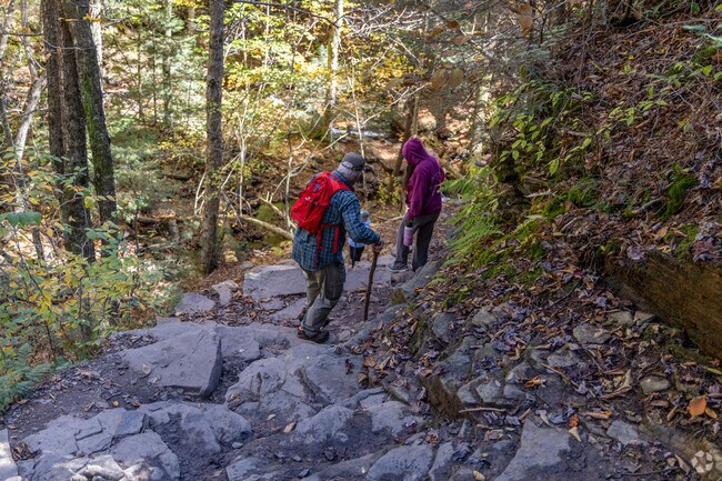 Penn locals looking for a great hike can go to Ricketts Glen State Park.