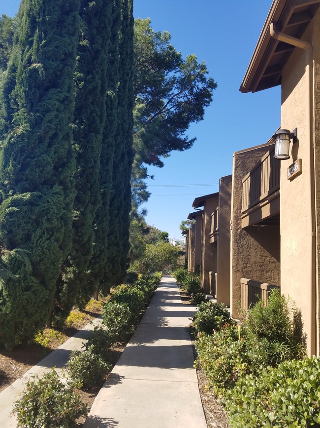 10246 Black Mountain Rd Unit 113, San Diego, CA 92126