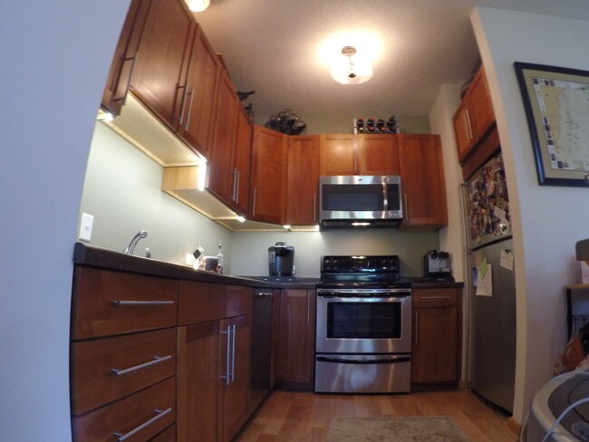 4732 Grand Ave S unit 201, Minneapolis, MN 55419 - photo 4