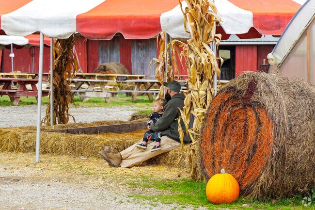Enjoy Duda's Farm Halloween festivities in Luzerne Township.