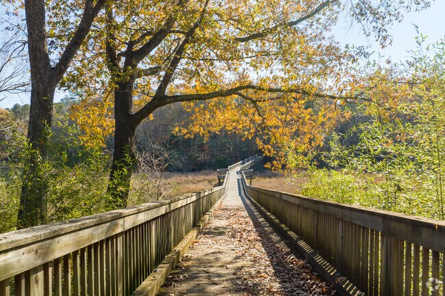 Stroll along Windsor Castle Park's numerous scenic paths.