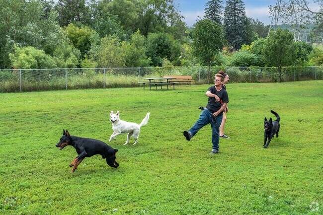 A man plays fetch with the dogs at Keene Creek Dog Park in Fairmount.