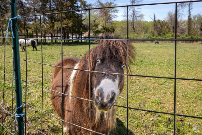 Bloomsbury is surrounded by forests and farms, the latter means that stopping on any road in the area may lead to an encounter with a pony.