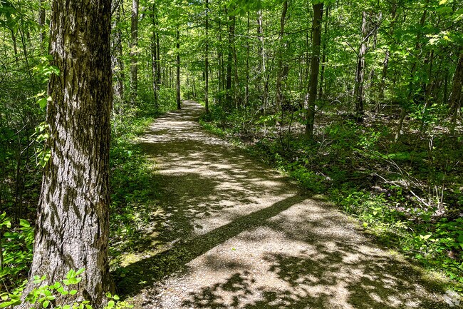 Blendon Woods Metro Park offers several different hiking trails for an adventure with the whole family.