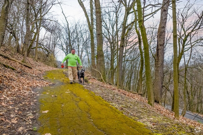 West End Park has trails that go all around the park.