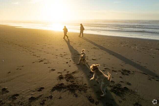 Rosewood residents head to Samoa Beach for dog walks and Pacific Ocean sunsets.