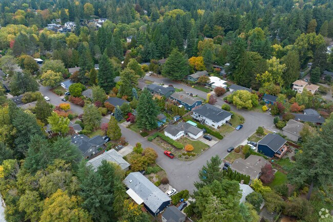 Homes in Bridlemile have large yards and even bigger trees.