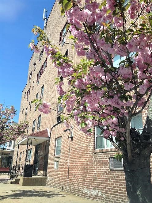 7210 Oxford Ave, Philadelphia, PA 19111