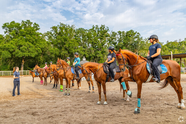 Suncoast Stables offers group lessons, and party events with horse back riding near Calusa.