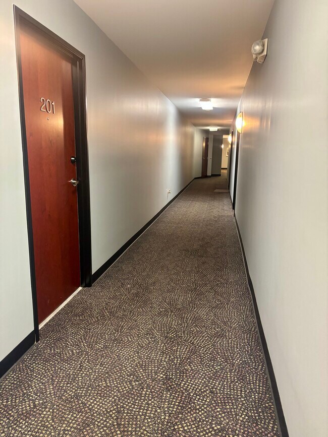 450 Massachusetts Ave unit 201, Indianapolis, IN 46204 - photo 4