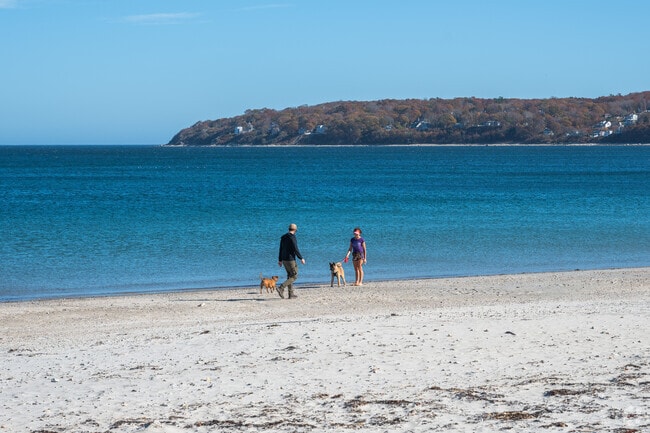 Plymouth Long Beach is the perfect place to take your four-legged friend for a walk.
