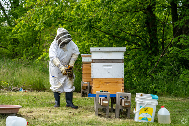 Residents of Maple Ridge tend to community gardens and bee farms located in the community.
