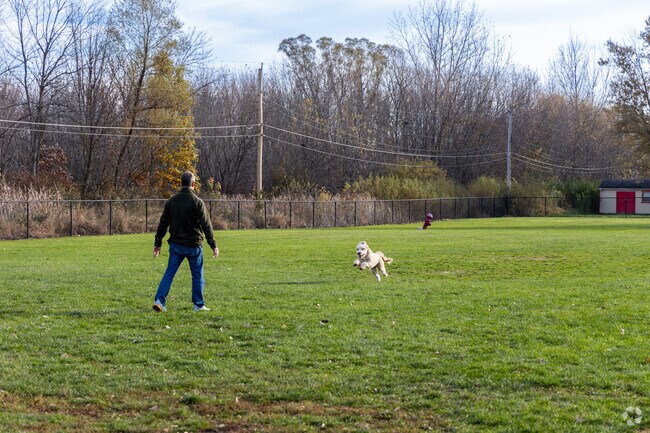 Dog lovers head to Green Valley Park, which features a fenced-in play space.
