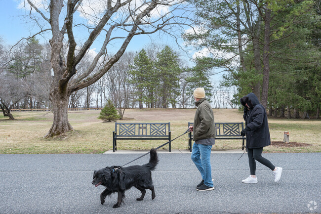 A couple enjoys a peaceful stroll with their dogs through Cushing Memorial Park, a scenic retreat near Salem End Road in Framingham.