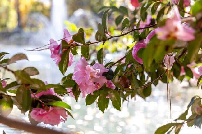 Greenhill Farms residents can explore the beautiful scenery near the Norfolk Botanical Gardens.