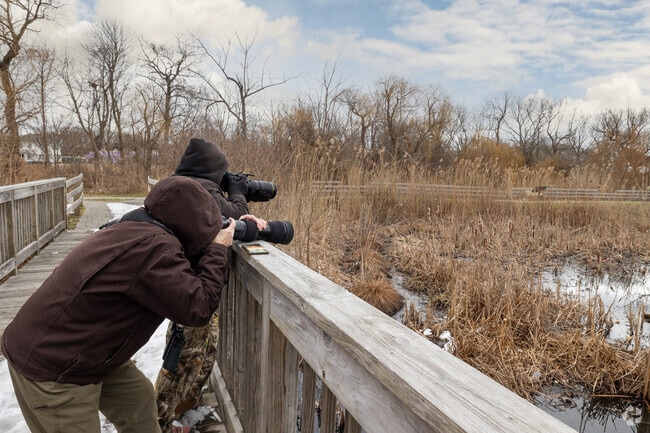 Swan Lake Preserve in East Patchogue is ever popular for birding with migrating species nearby.