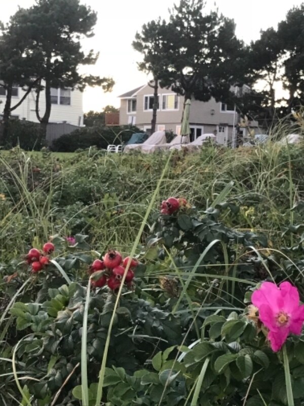 5 Parcher Ave, Old Orchard Beach, ME 04064 - photo 4