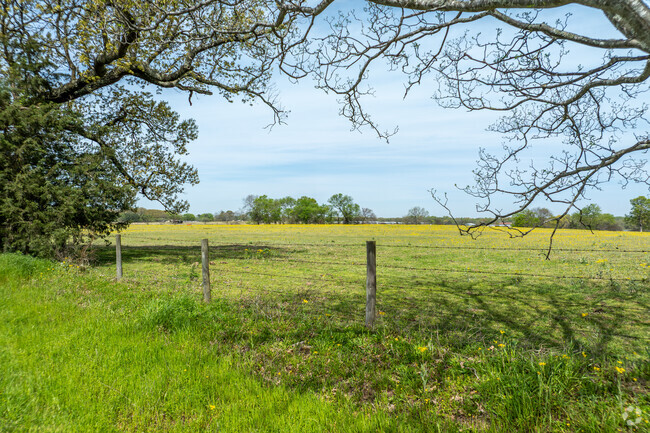 Springtime blooms and open fields invite you to explore the countryside of Mount Pleasant.