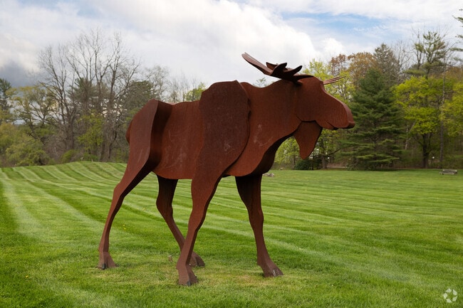 Salisbury is populated with sculptures by renowned artist Denis Curtiss.