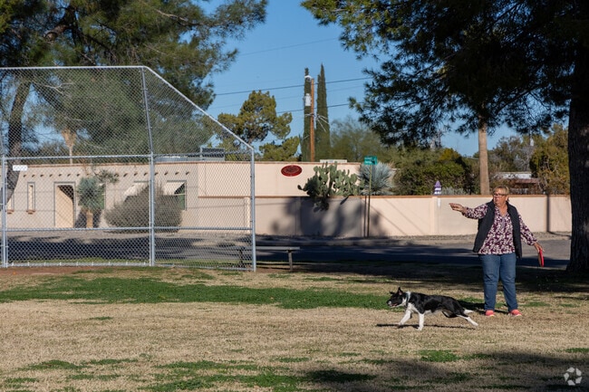 There's plenty of green space to play frisbee with your dog at Pinecrest Park.