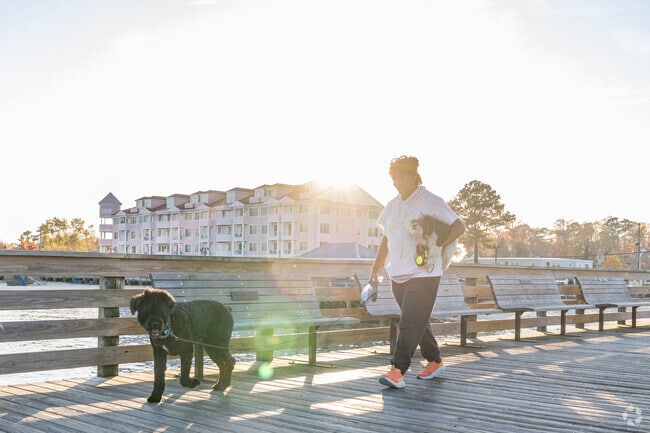Discover the allure of North Beach with a leisurely walk on the iconic boardwalk.