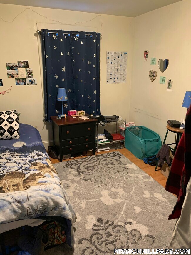 2 Shepherd Ave unit 2, Boston, MA 02115 - photo 7