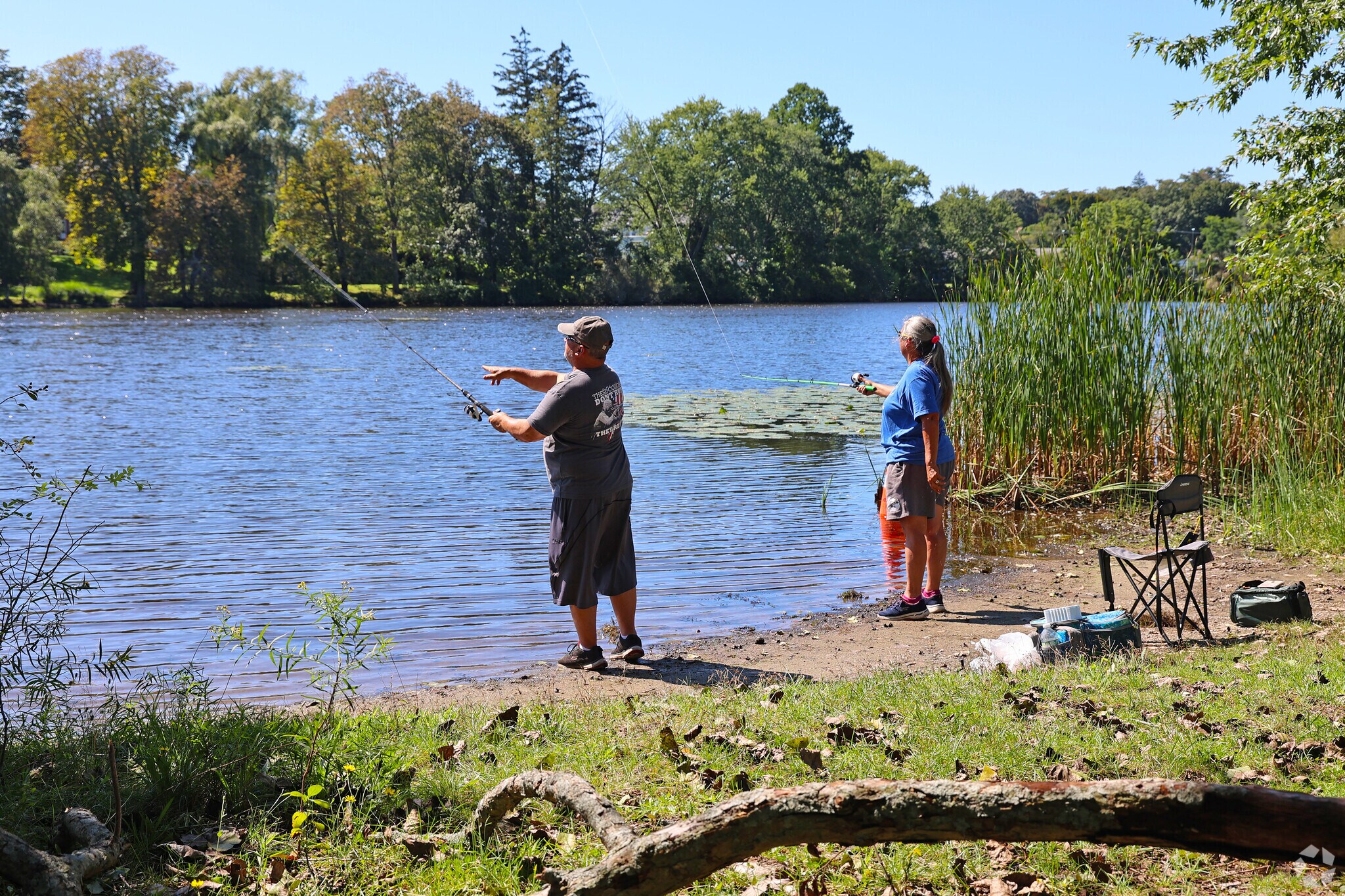 Fish are bitting at Ell Pond in Downtown Melrose.