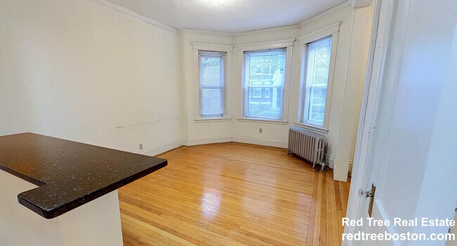 24 Queensberry St unit 4, Boston, MA 02215 - photo 2