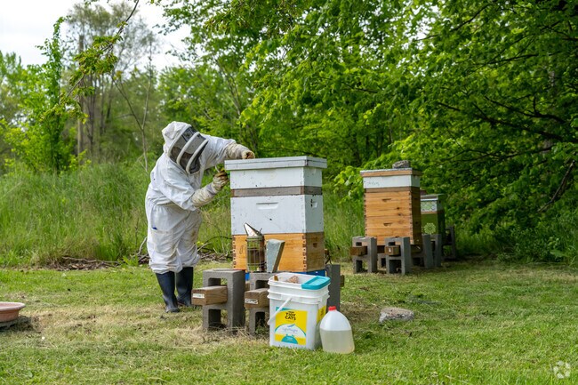 Properties in Gratiot Woods provide bees with abundant sources of native flowers.