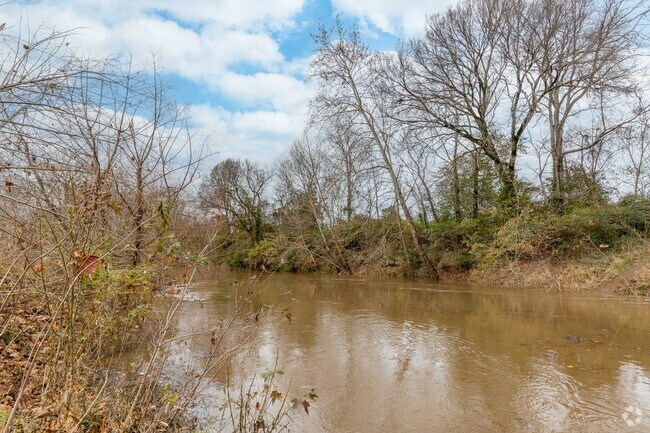 Locals love to visit the many Harpeth River access points for canoeing and fishing in Franklin.