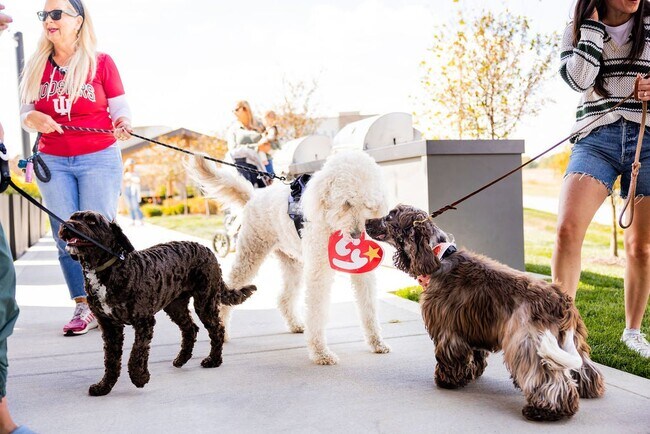 17361 Ackerson Blvd unit 38492934, Westfield, IN 46074 - photo 4