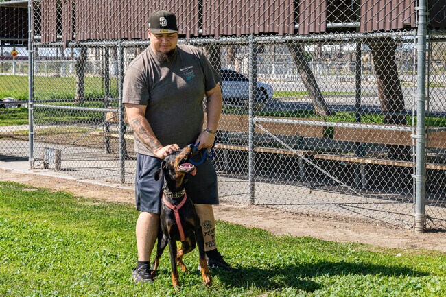 A Casa Loma resident enjoys walking his dog around the baseball field at Belle Terrace Park.