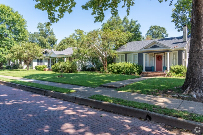 Trees line the sidewalks of several residences in Alexandria's Garden District.