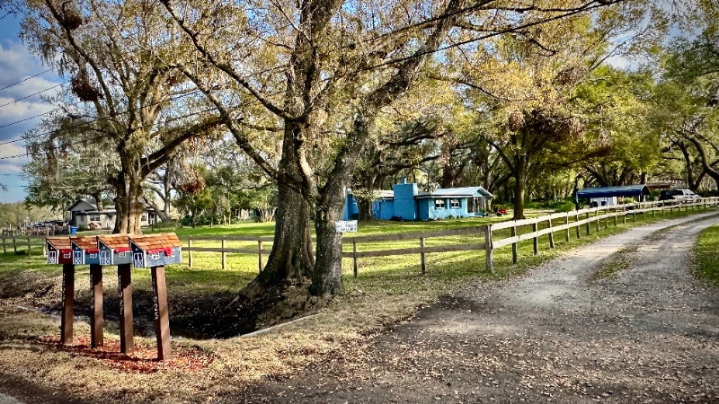 11031 Circle Rd S, Seffner, FL 33584 - photo 1