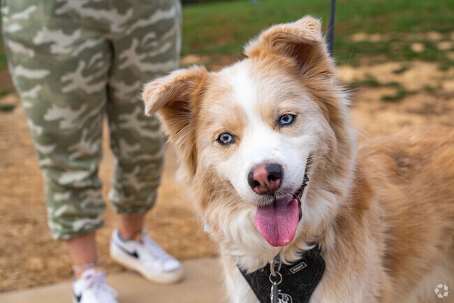 There is a large dog park just outside of Emigsville, perfect for exercising the pups.