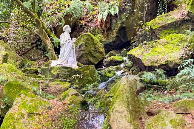 Many Grotto religious statues stand among the rocks in Hill Park in Madison South.