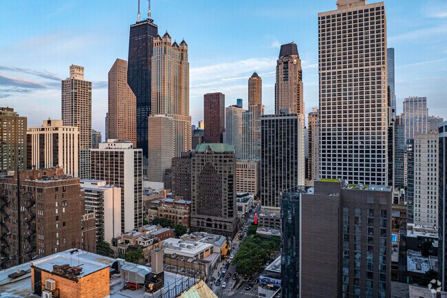 Rush-Division is a small but prosperous neighborhood set in Chicago's near North side.