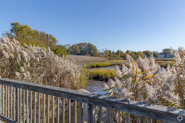 Residents appreciate protected wetlands at Silver Creek in Bristol.