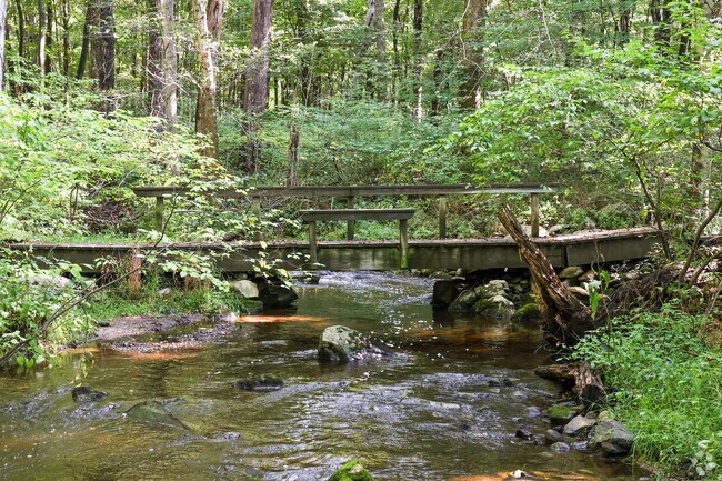 Alice Newton Memorial Park  has over 100 acres of open space with numerous trails and a river.
