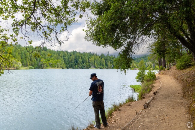 Enjoy fishing and relaxation by the water at Loch Lomond Recreation Area.