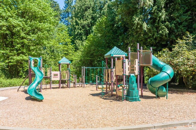 Jungle gym and spray fountains draw families to Robinwood Park.