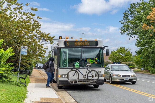 Use the CAT buses to get around Rio.