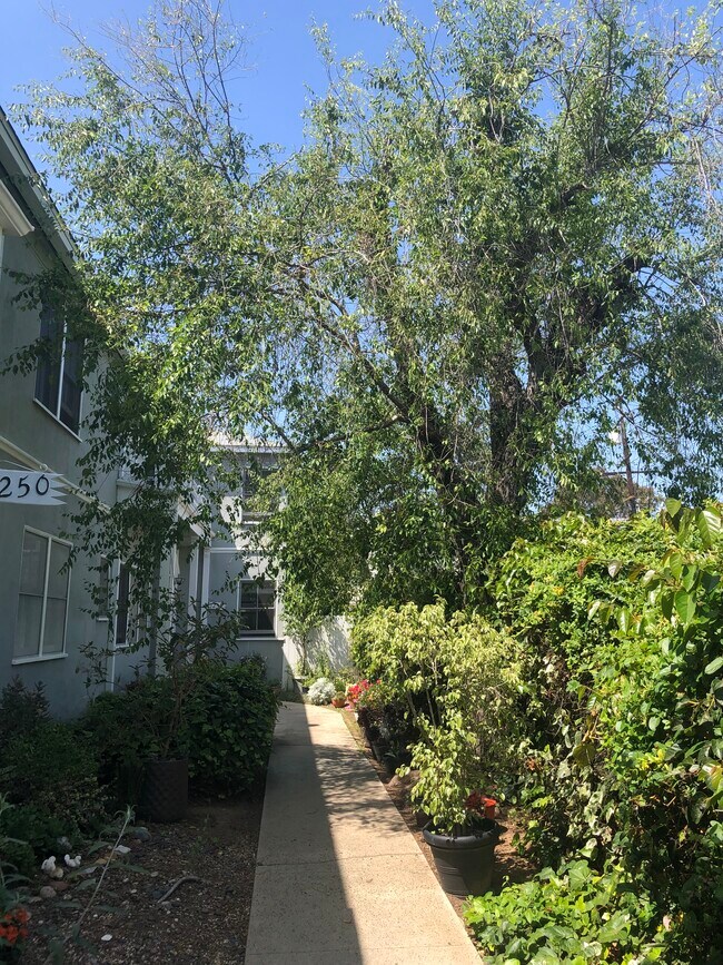 1250 Franklin St unit B, Santa Monica, CA 90404 - photo 4